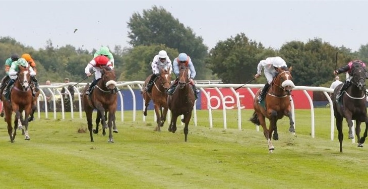 Raceday Information: Tuesday 25...