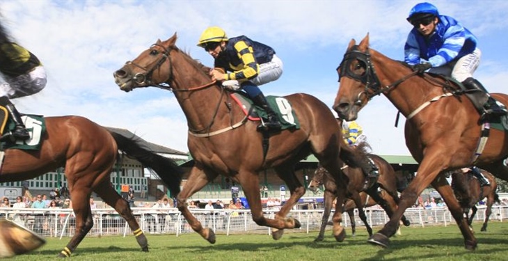 Raceday Information - Wednesday...