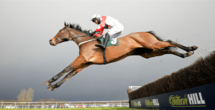 The 2022/23 National Hunt Season