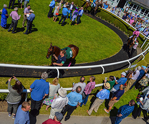 Paddock enclosure