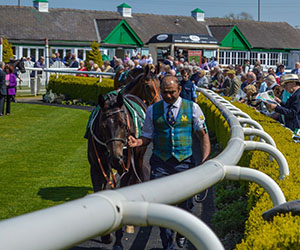 Grandstand & Paddock enclosure